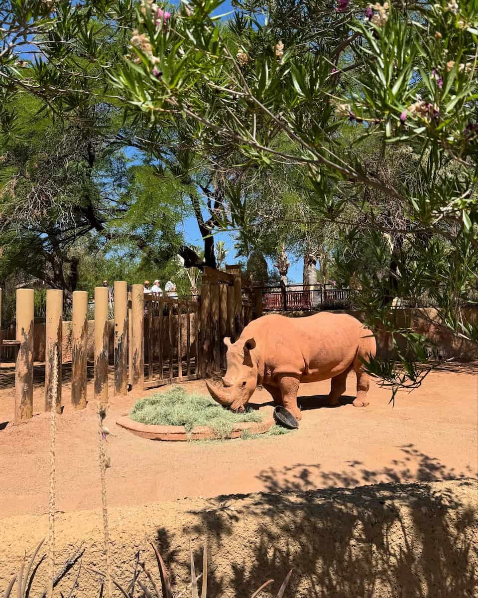 Phoenix Zoo