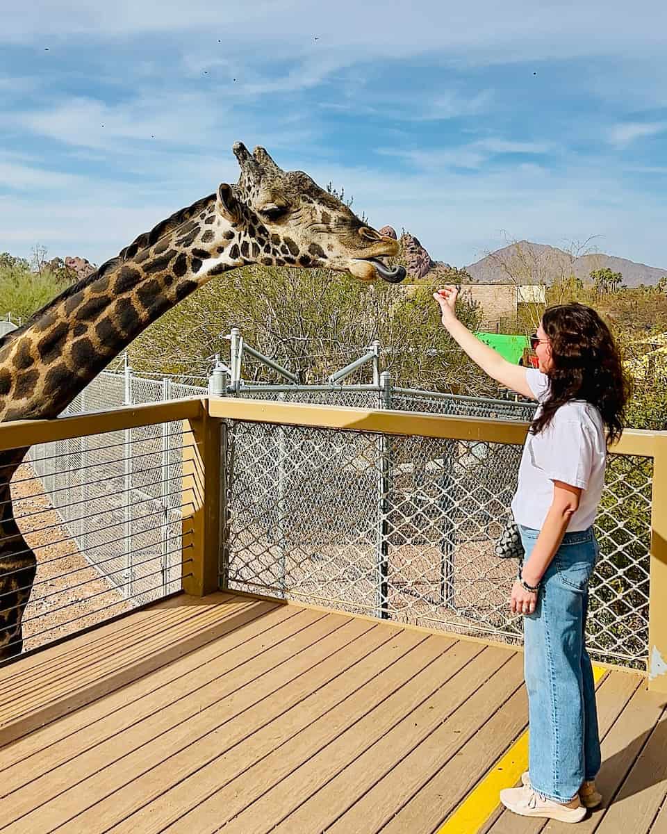 Phoenix Zoo