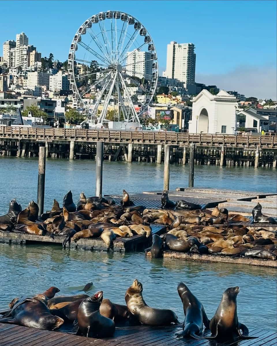 Pier 39, San Francisco Pier 39, San Francisco
