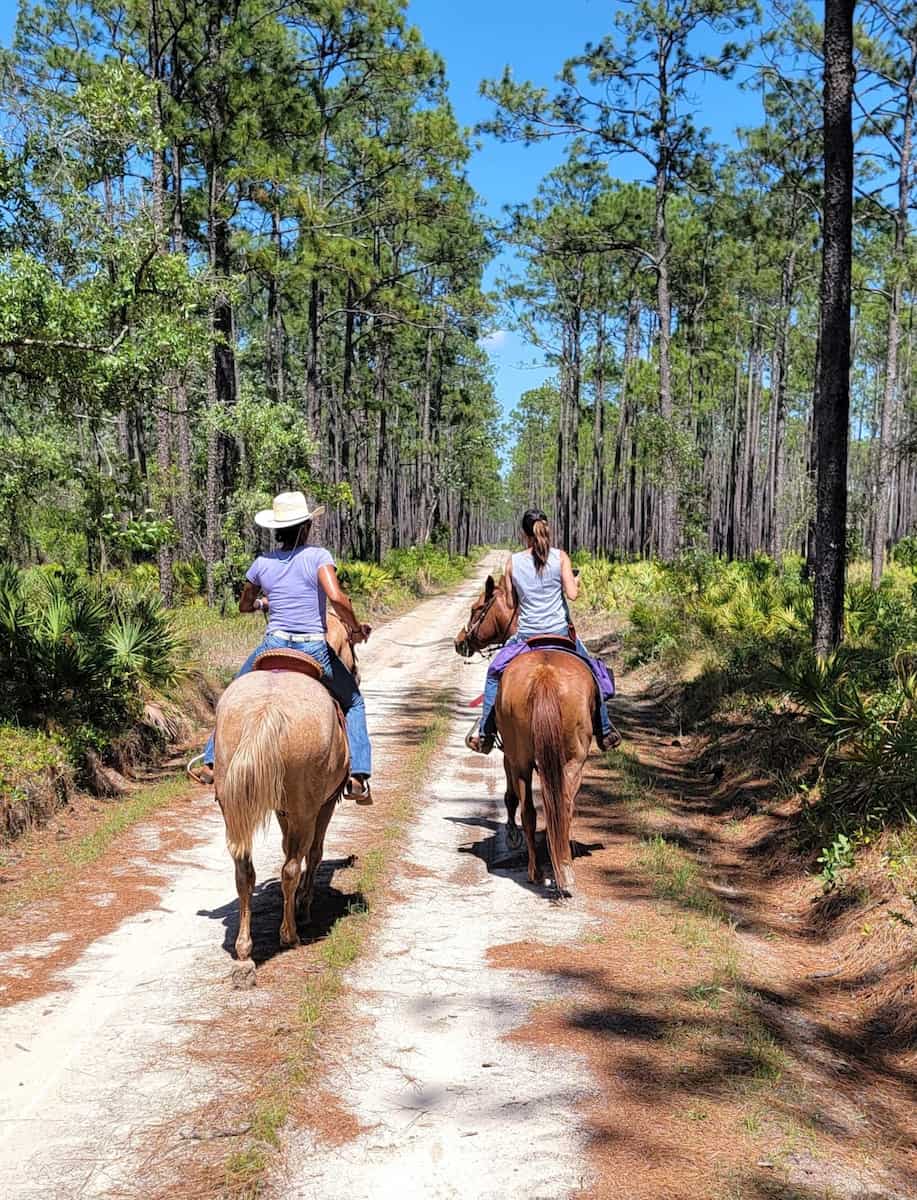 Pine Log State Forest, FL Pine Log State Forest, FL