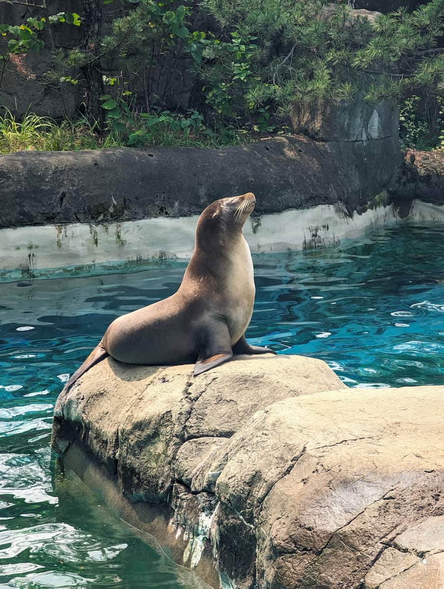 Pittsburgh Zoo & Aquarium Pittsburgh Zoo & Aquarium