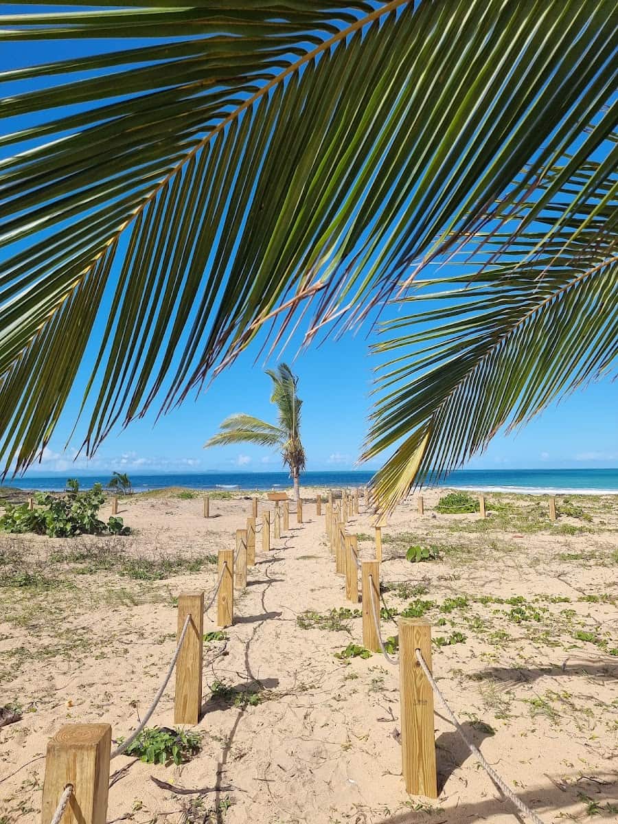 Playa Esmeralda, Punta Cana