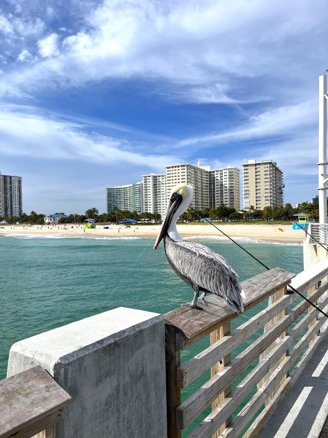 Pompano Beach Fishing Village FL Pompano Beach Fishing Village FL