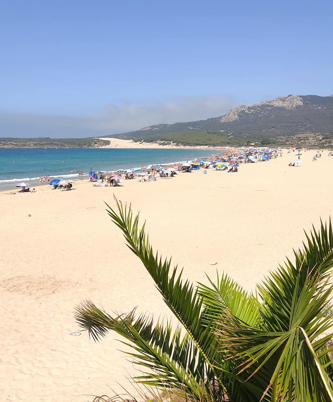 Punta Paloma Ecosystem Tarifa Punta Paloma Ecosystem Tarifa