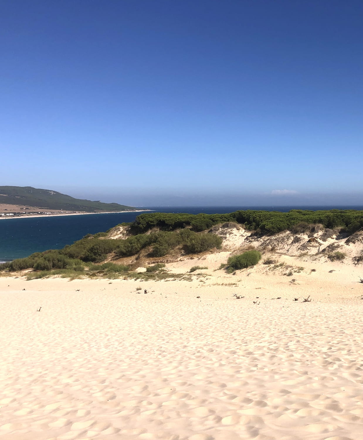 Punta Paloma Ecosystem Tarifa Punta Paloma Ecosystem Tarifa