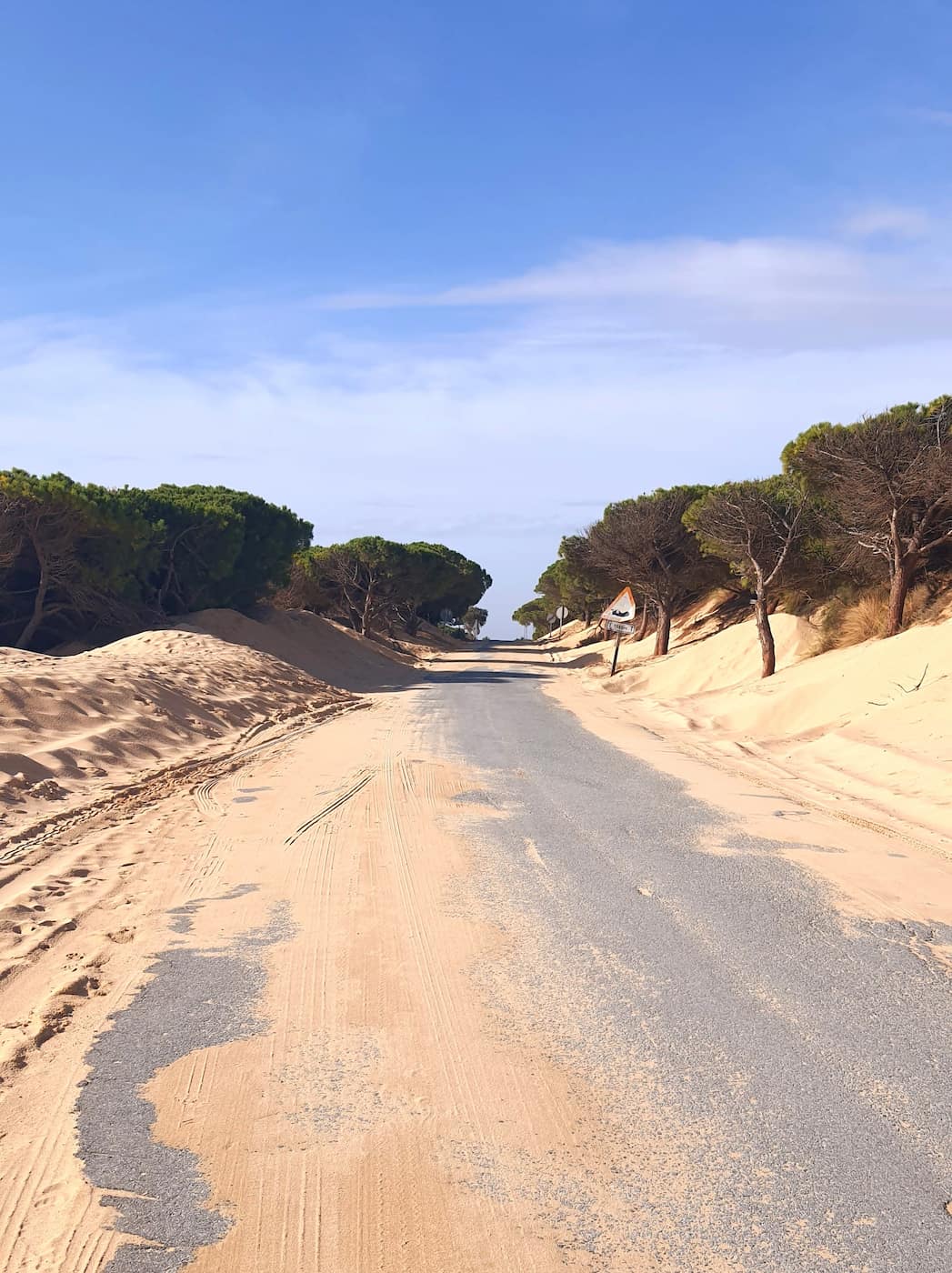 Punta Paloma Ecosystem Tarifa Punta Paloma Ecosystem Tarifa