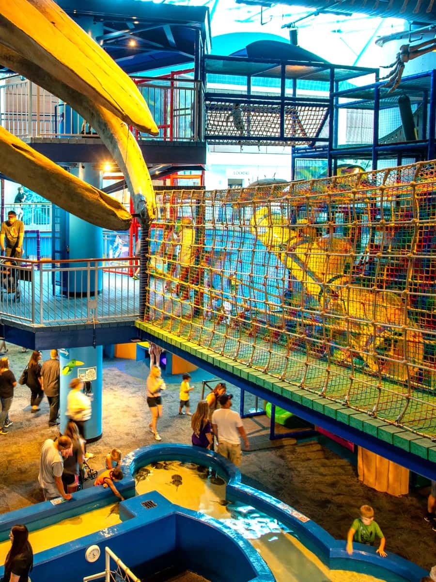 Inside of Ripley's Aquarium of the Smokies, Tennessee