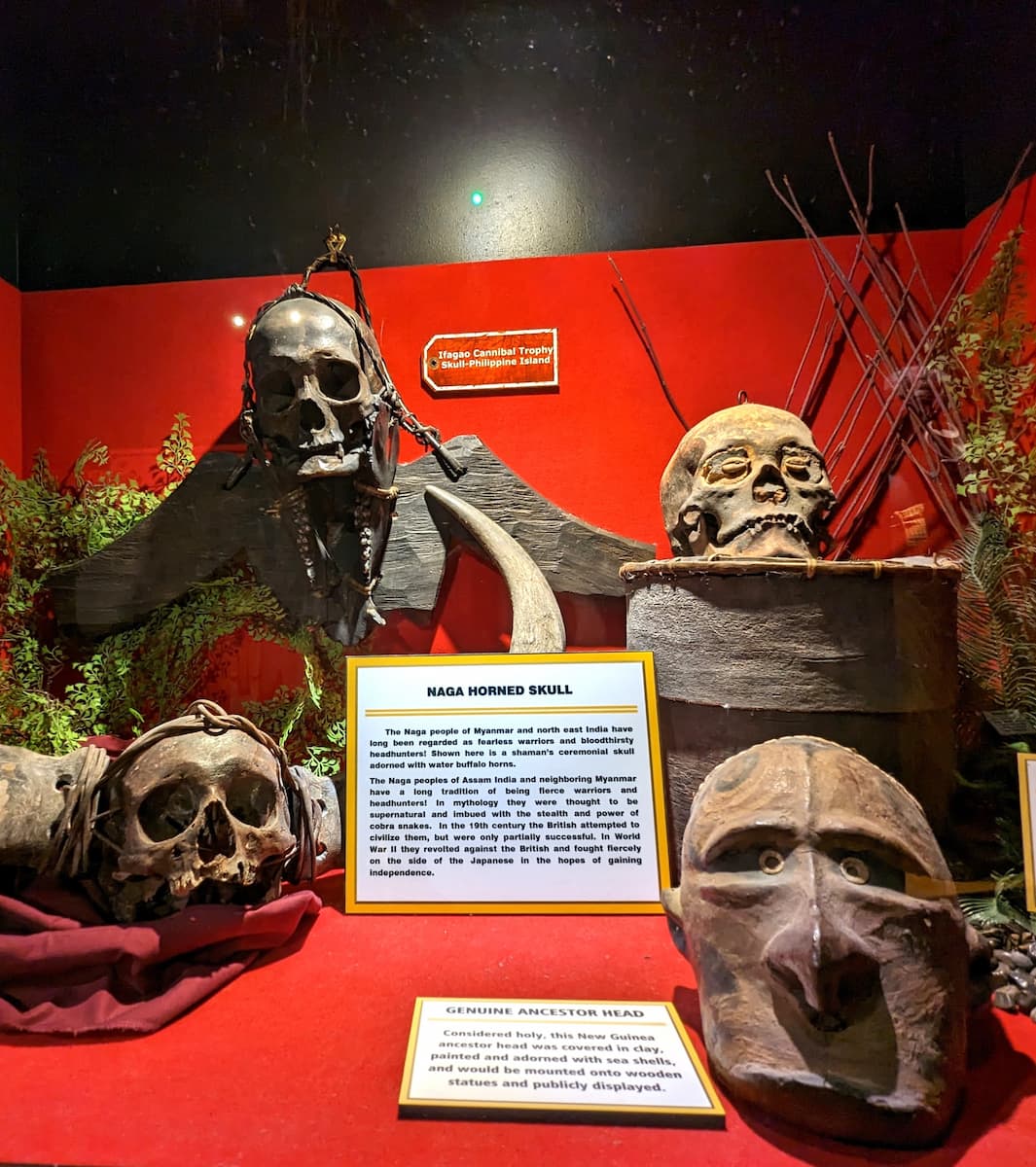 Ripley’s Believe It or Not, Panama City Beach Ripley’s Believe It or Not, Panama City Beach