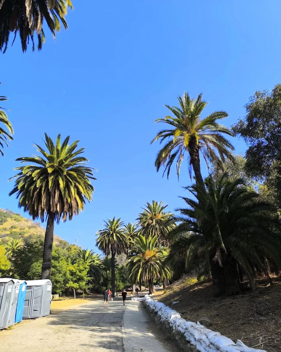 Runyon Canyon Park, LA Runyon Canyon Park, LA