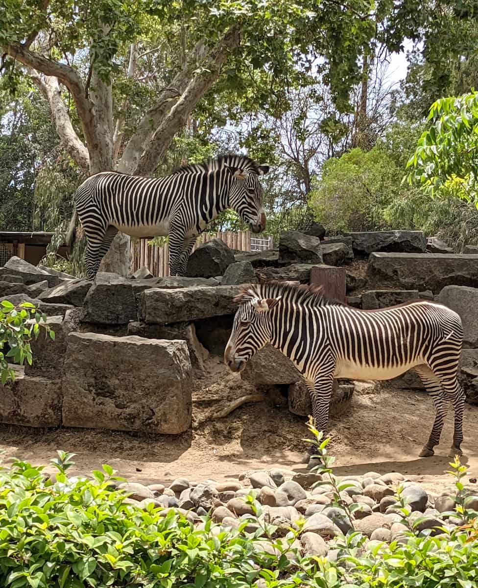 Sacramento Zoo Sacramento Zoo