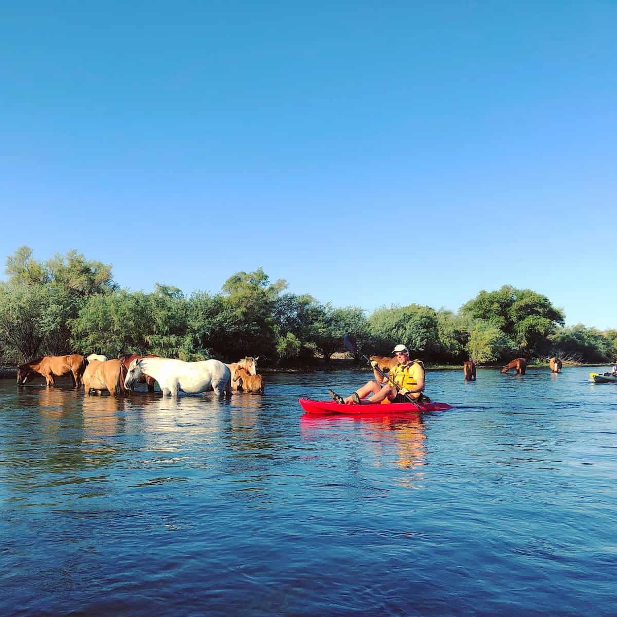 Salt River