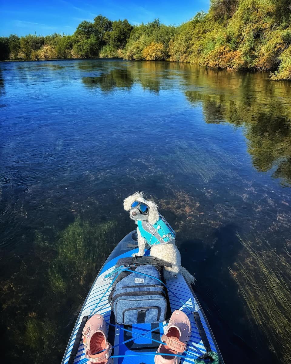 Salt River