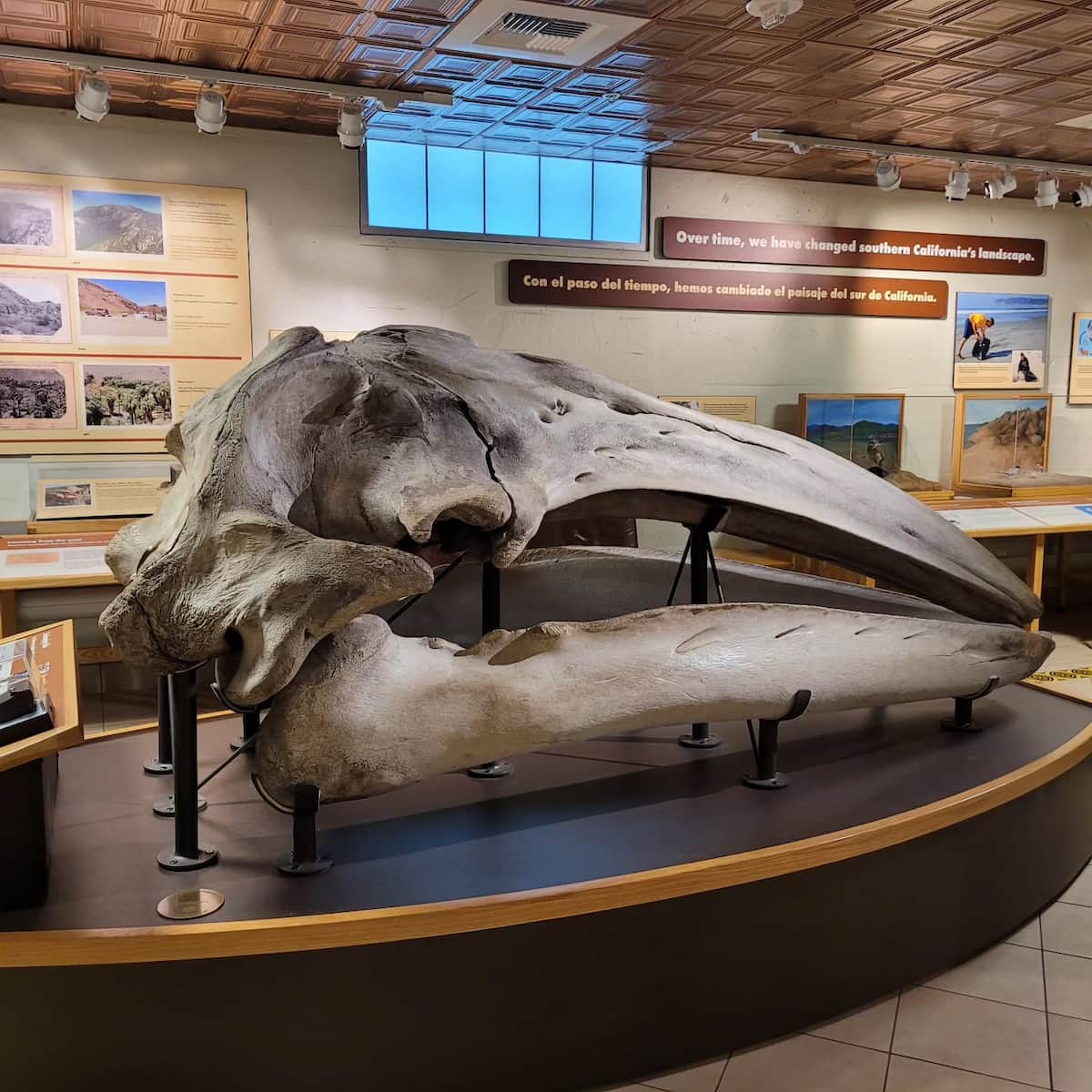 San Diego Natural History Museum San Diego Natural History Museum