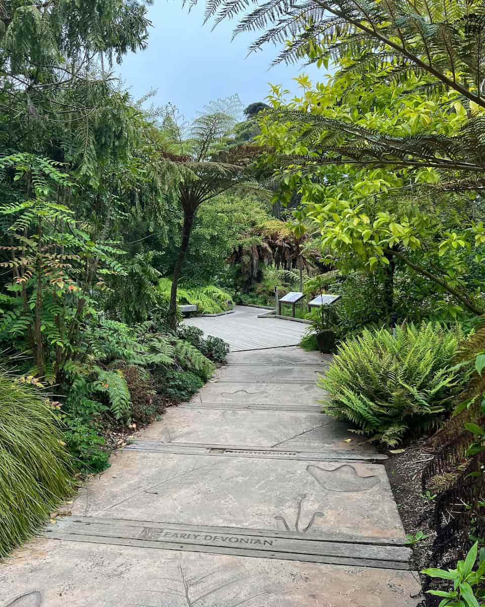 San Francisco Botanical Garden San Francisco Botanical Garden