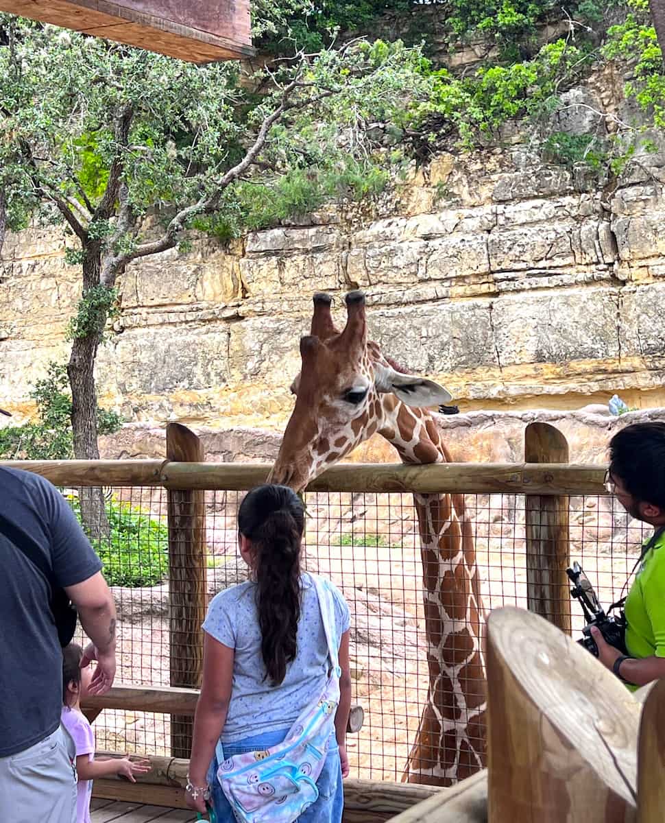 San Antonio Zoo, Texas San Antonio Zoo, Texas