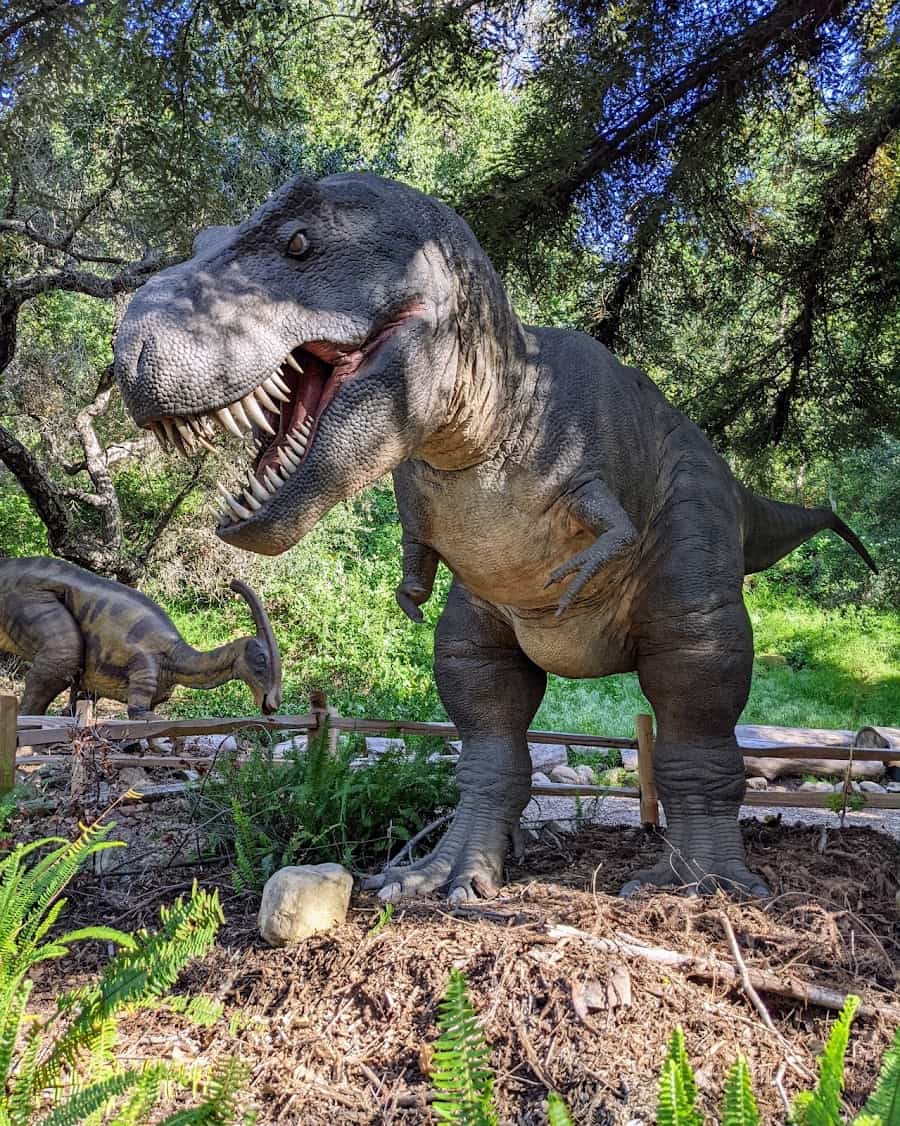 Santa Barbara Museum of Natural History, Santa Barbara Santa Barbara Museum of Natural History, Santa Barbara