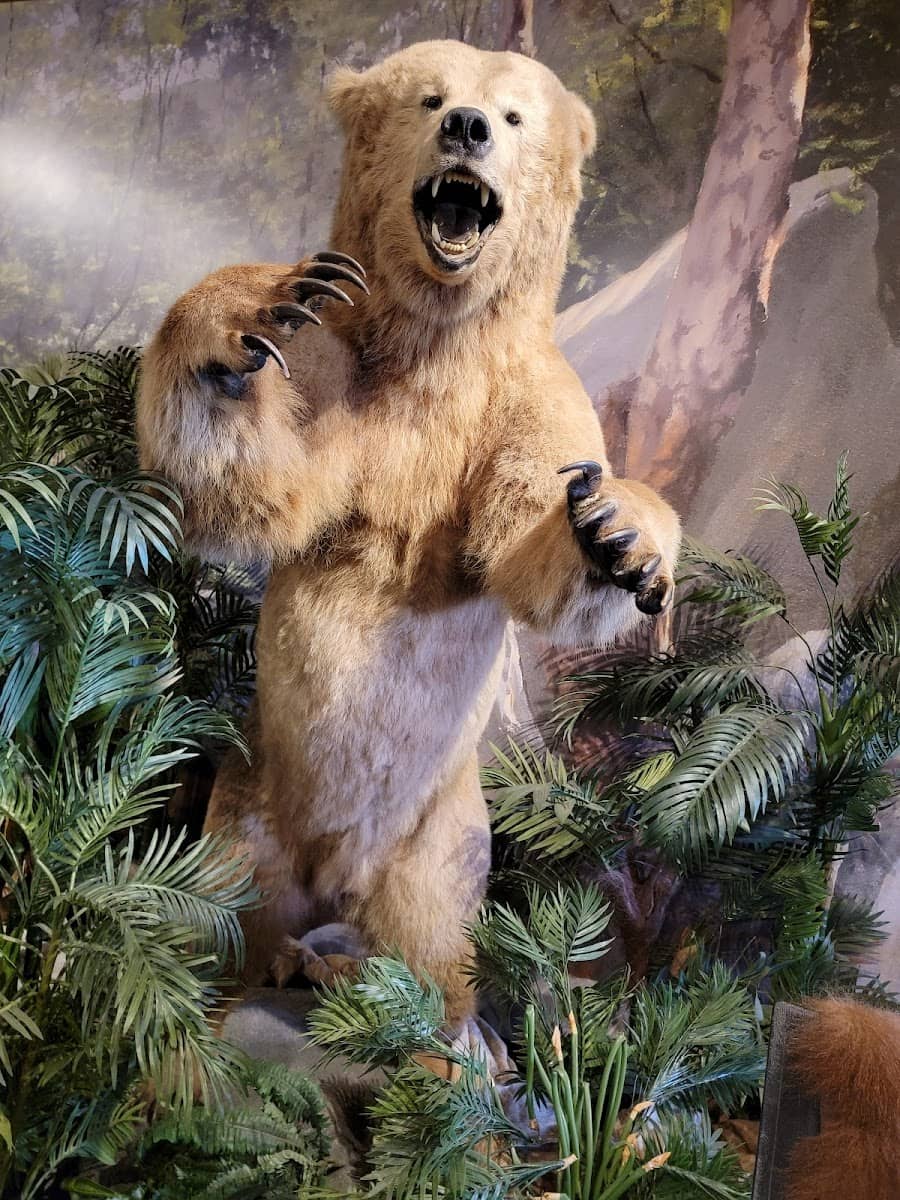 Santa Barbara Museum of Natural History, Santa Barbara Santa Barbara Museum of Natural History, Santa Barbara