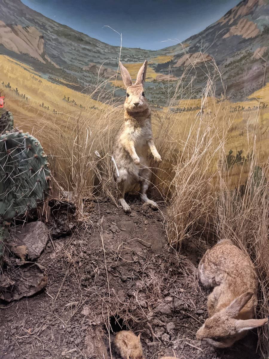 Santa Barbara Museum of Natural History, Santa Barbara Santa Barbara Museum of Natural History, Santa Barbara