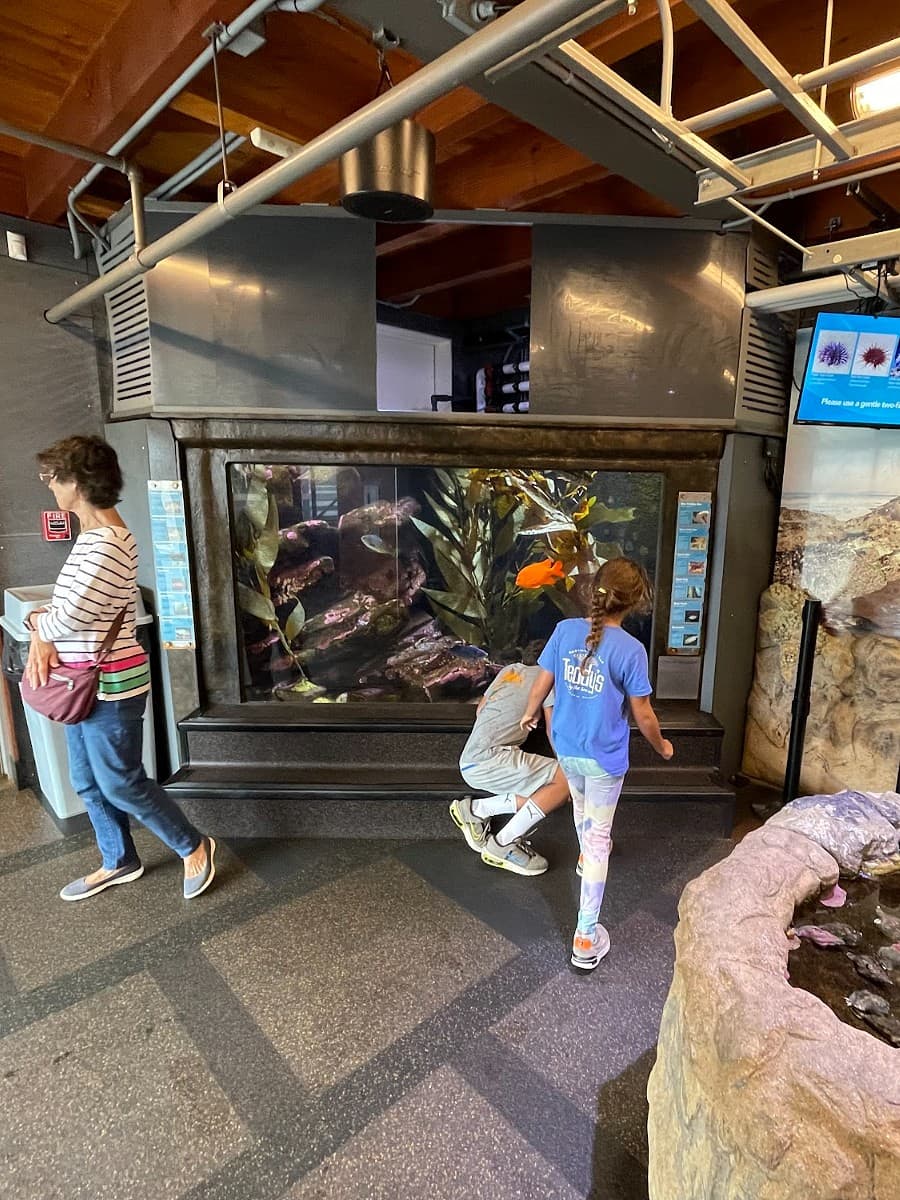 Santa Barbara Sea Center, Santa Barbara Santa Barbara Sea Center, Santa Barbara