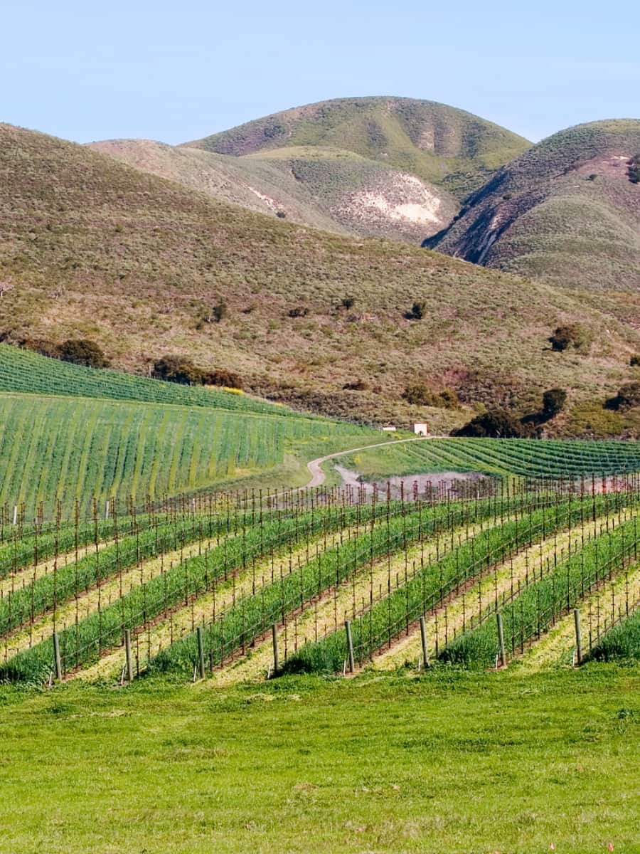 Santa Ynez Mountain, Santa Barbara Santa Ynez Mountain, Santa Barbara