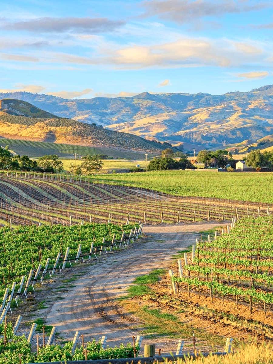 Santa Ynez Mountain, Santa Barbara Santa Ynez Mountain, Santa Barbara
