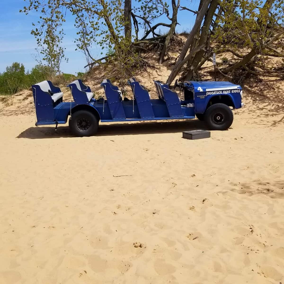 Saugatuck Dune Rides, Michigan Saugatuck Dune Rides, Michigan