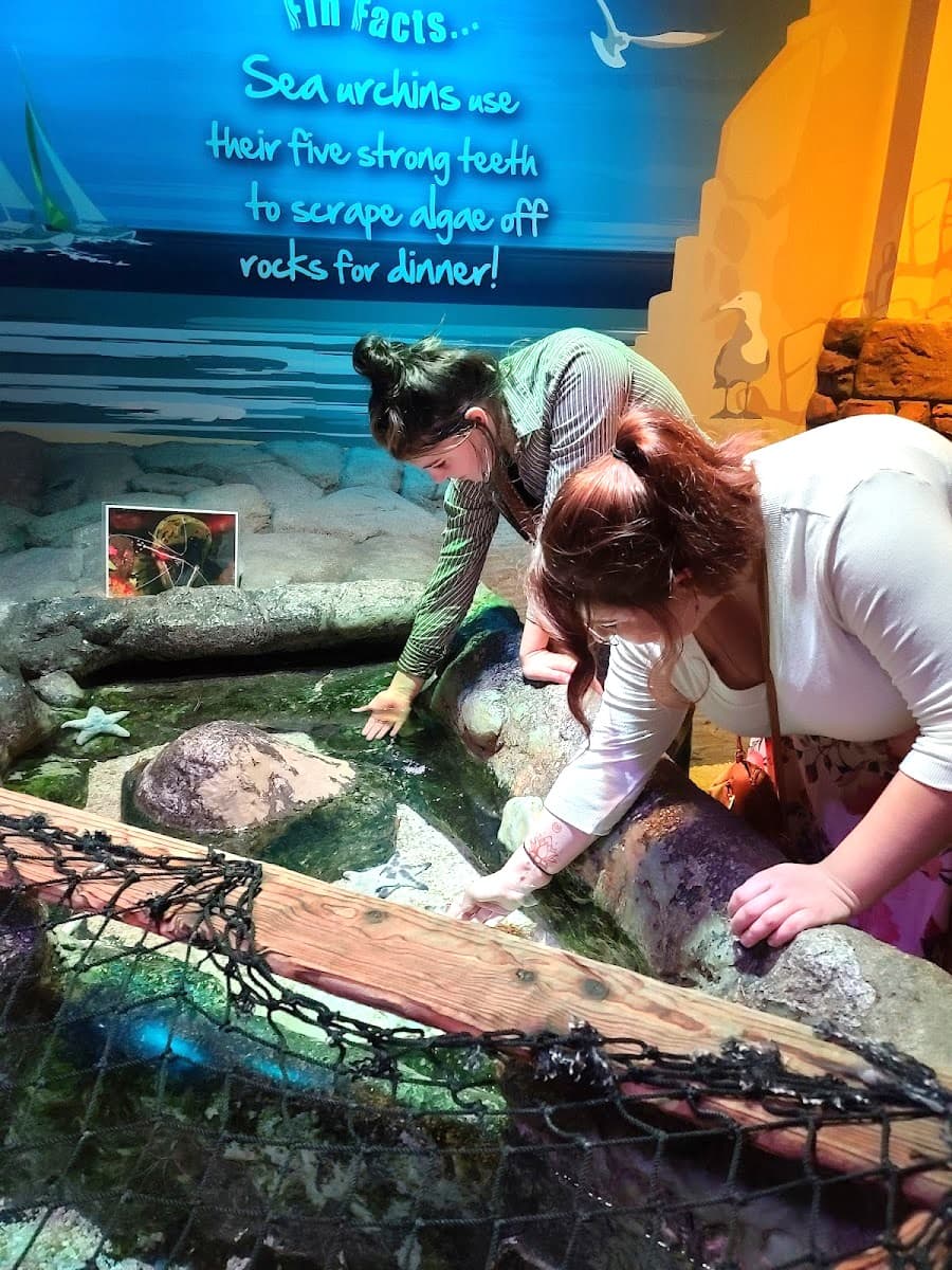 Sea Life Kansas City Aquarium, Kansas City Sea Life Kansas City Aquarium, Kansas City