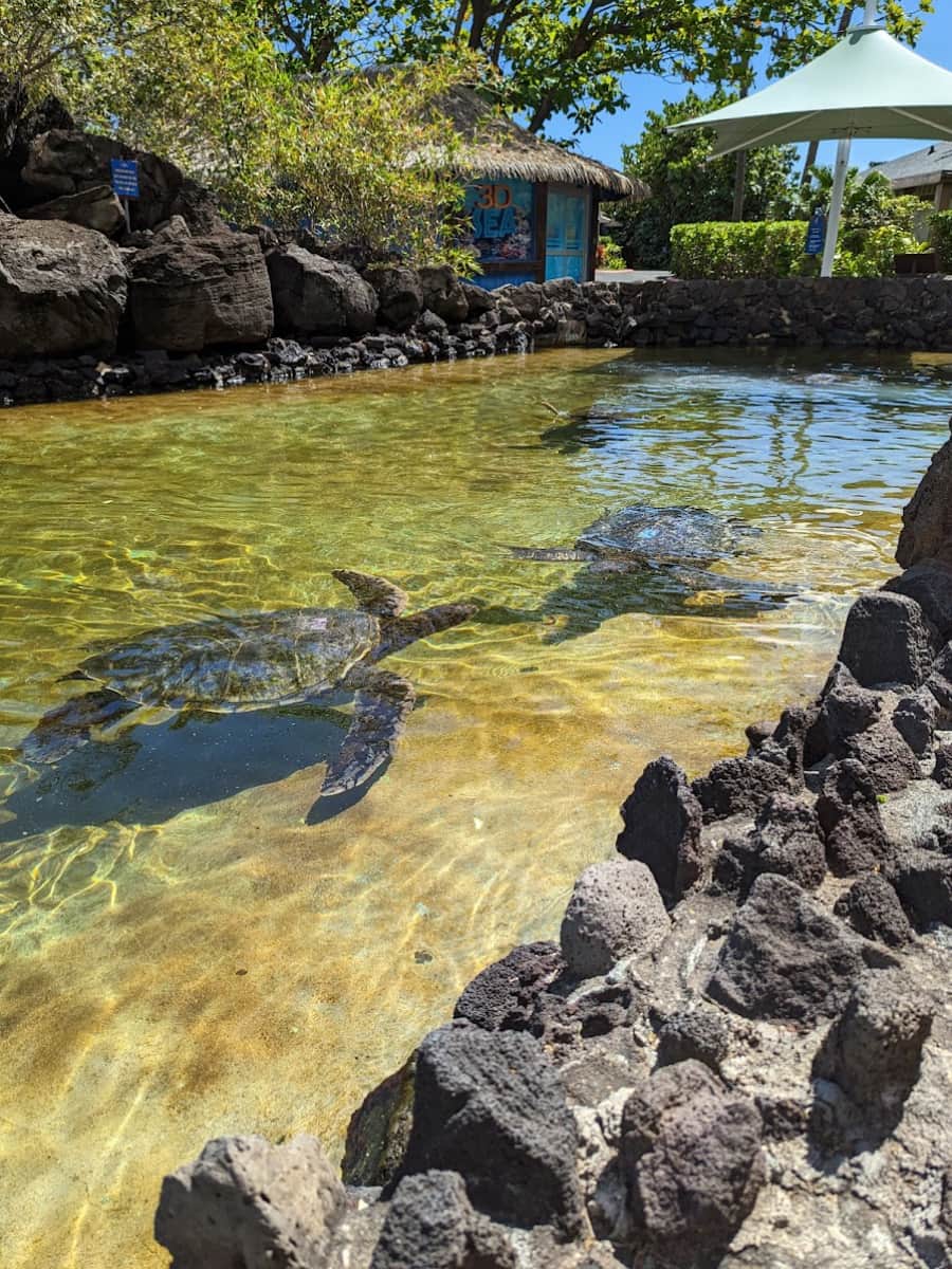 Sea Life Park, Oahu, Hawaii Sea Life Park, Oahu, Hawaii