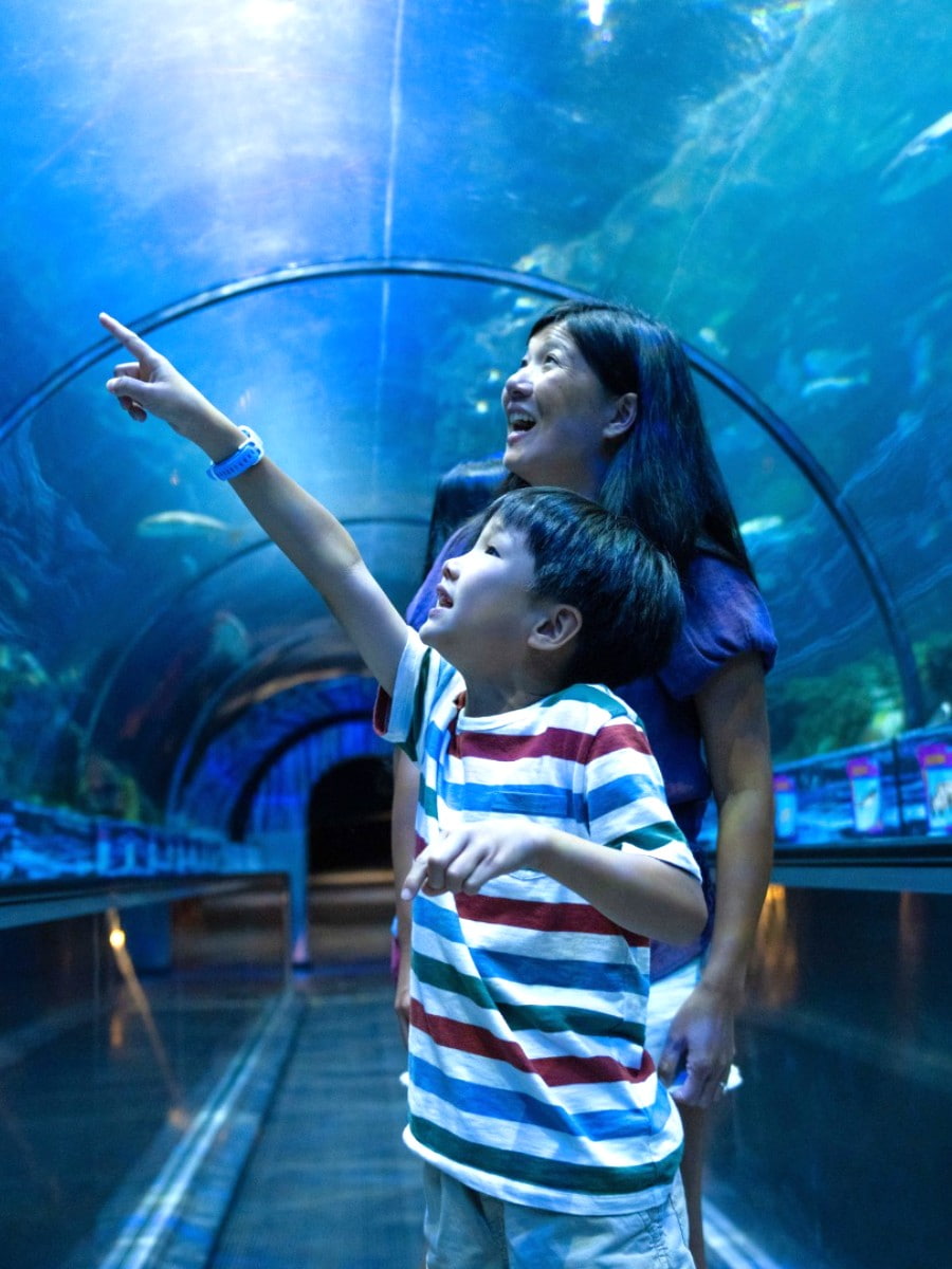 SeaWorld Orlando, Florida SeaWorld Orlando, Florida