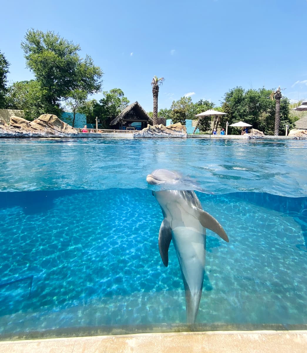 SeaWorld San Antonio SeaWorld San Antonio