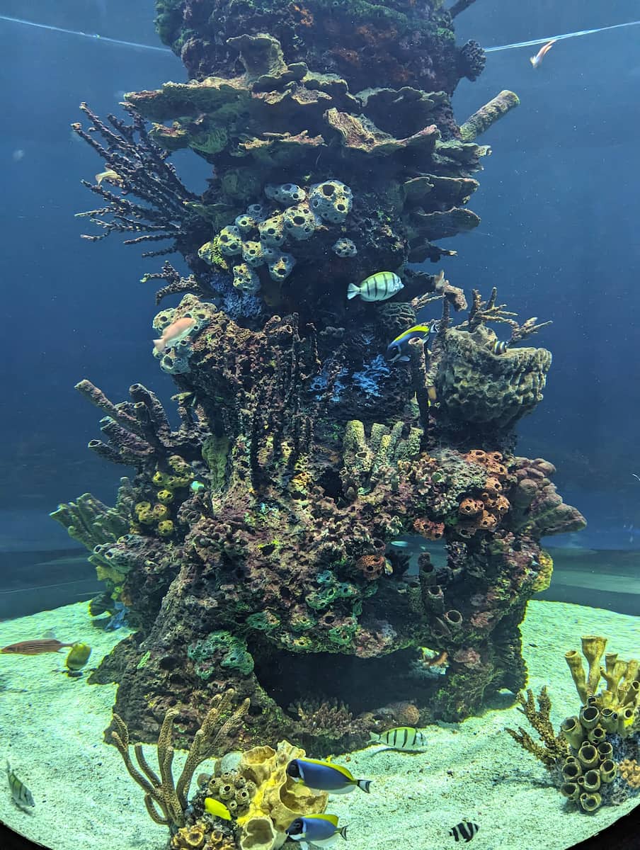 SeaWorld San Antonio SeaWorld San Antonio