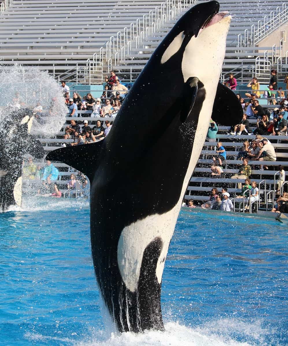 SSeaWorld San Diego SeaWorld San Diego