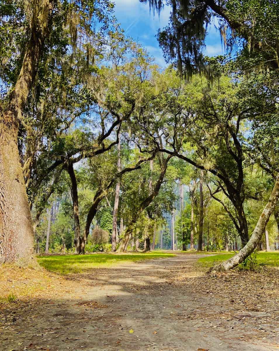 Sea Pines Forest Preserve, Hilton Head