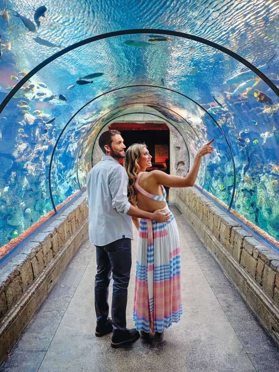 Shark Reef Aquarium, Las Vegas Shark Reef Aquarium, Las Vegas