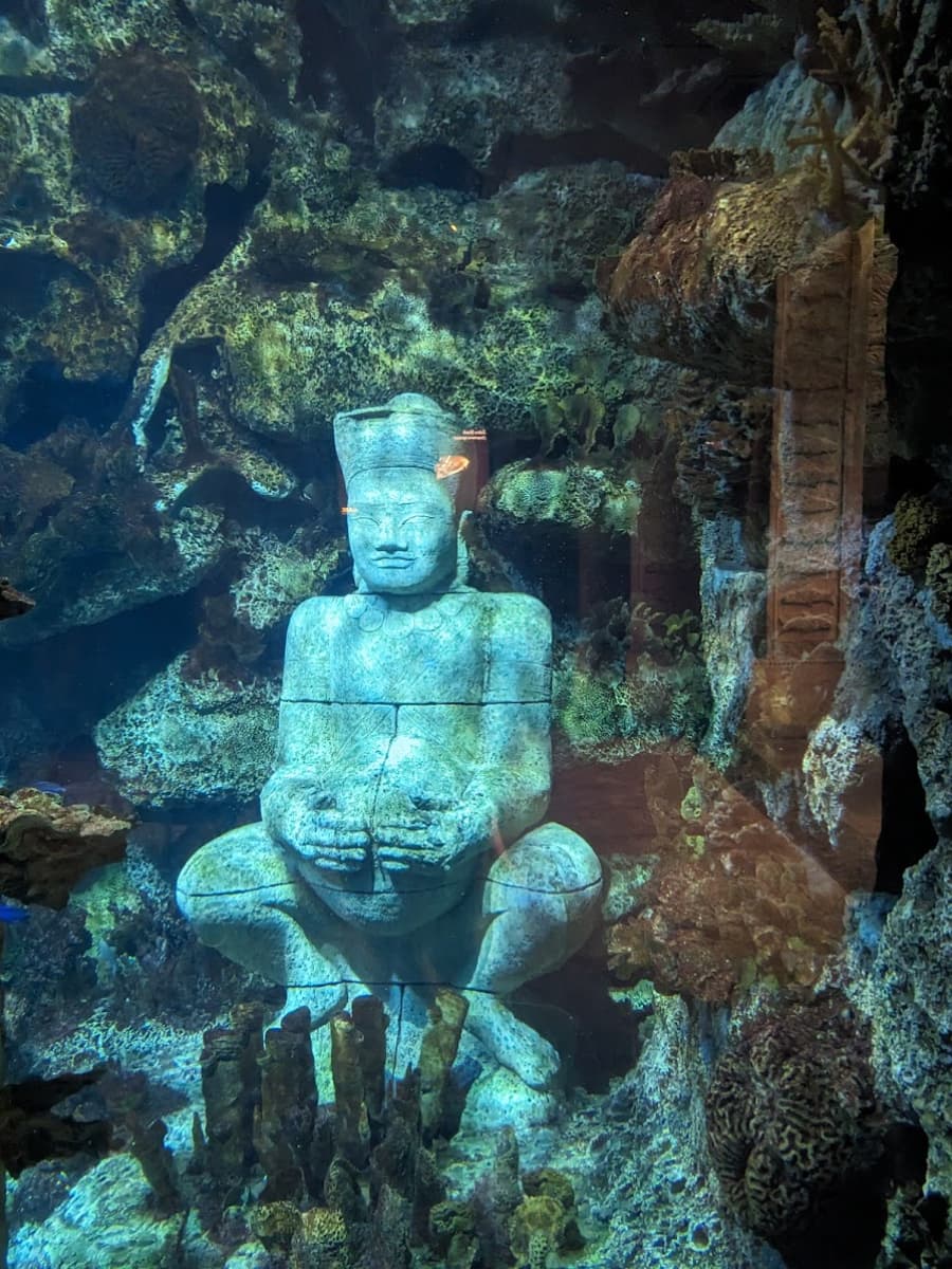 Shark Reef Aquarium, Las Vegas Shark Reef Aquarium, Las Vegas