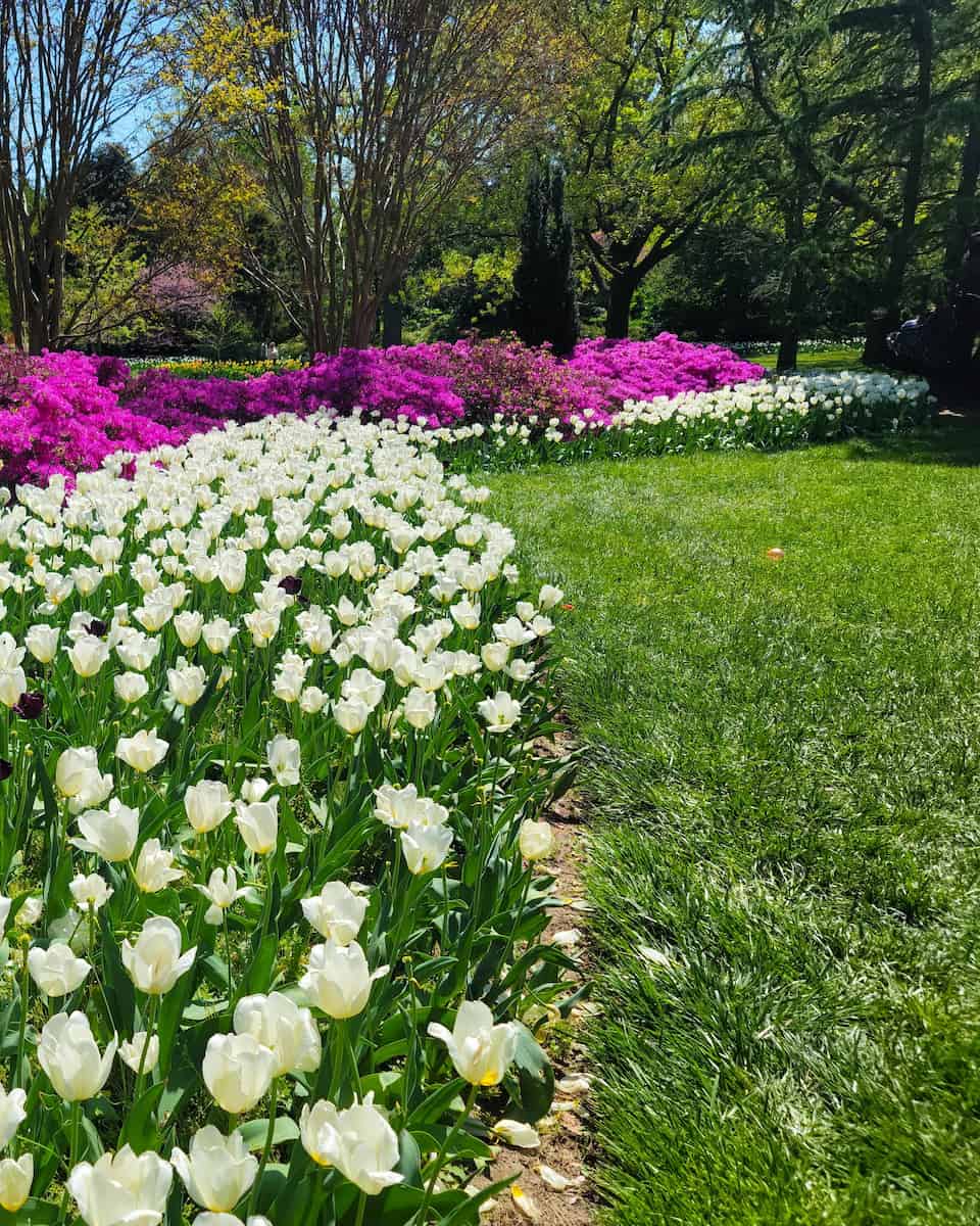 Sherwood Gardens, Baltimore Sherwood Gardens, Baltimore