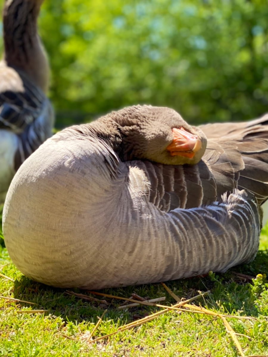 Slate Run Living Historical Farm, Columbus, Ohio Slate Run Living Historical Farm, Columbus, Ohio