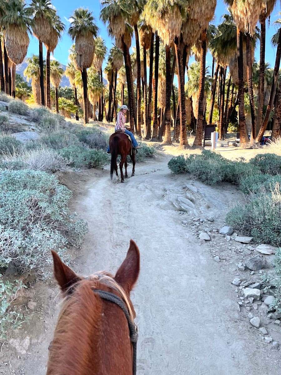 Smoke Tree Stables, Palm Springs Smoke Tree Stables, Palm Springs