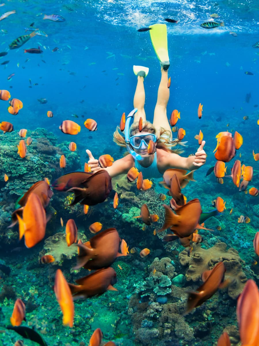 Snorkeling at Molokini Crater, Hawaii Snorkeling at Molokini Crater, Hawaii