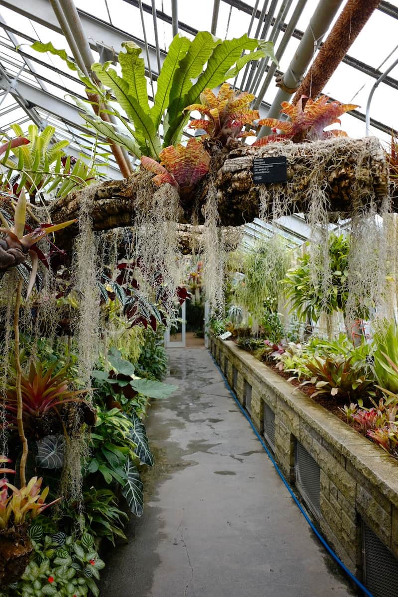 Space for Life Montreal Space for Life Montreal