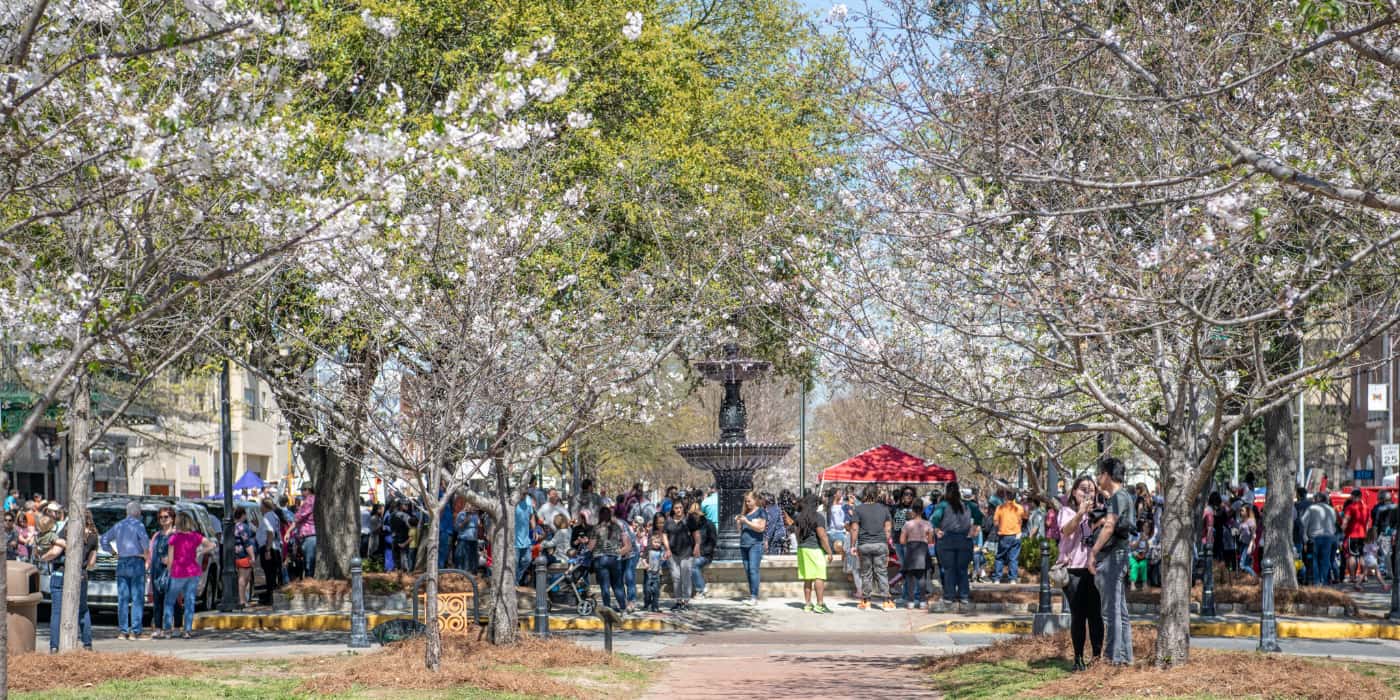 Spring Blooms Georgia, US Spring Blooms Georgia, US