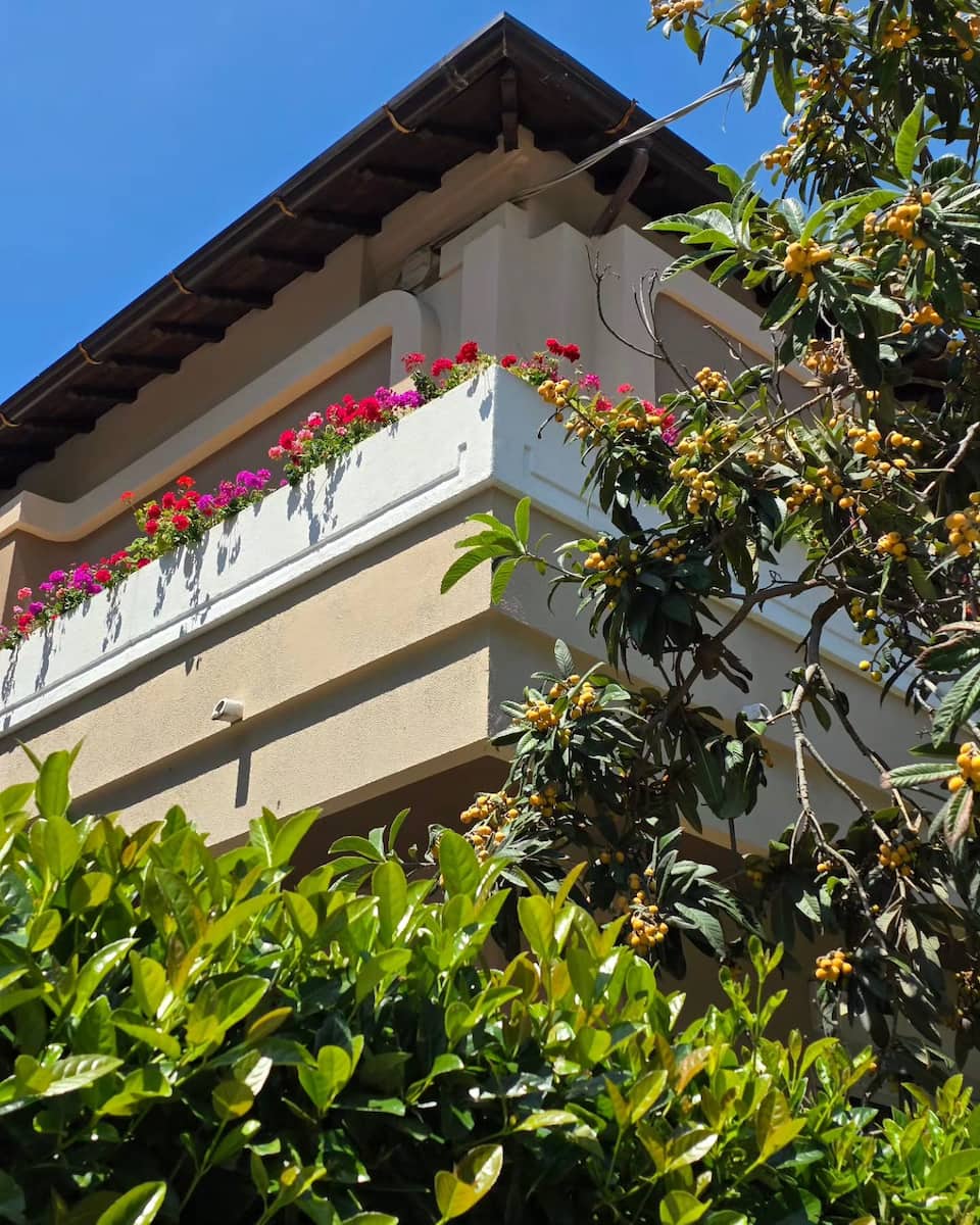 Spring Blooms, Pescara Spring Blooms, Pescara