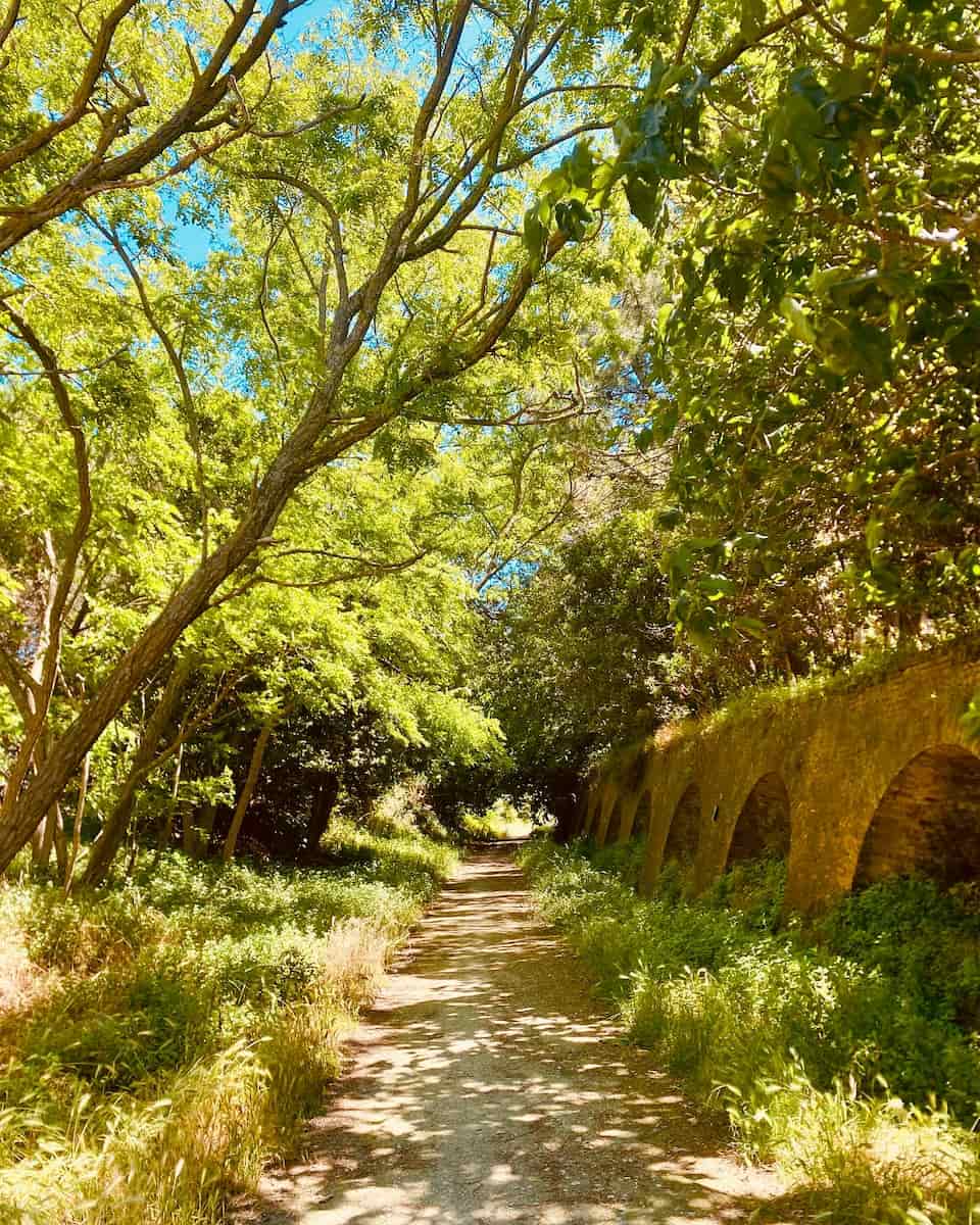 Spring Blooms, Pescara Spring Blooms, Pescara