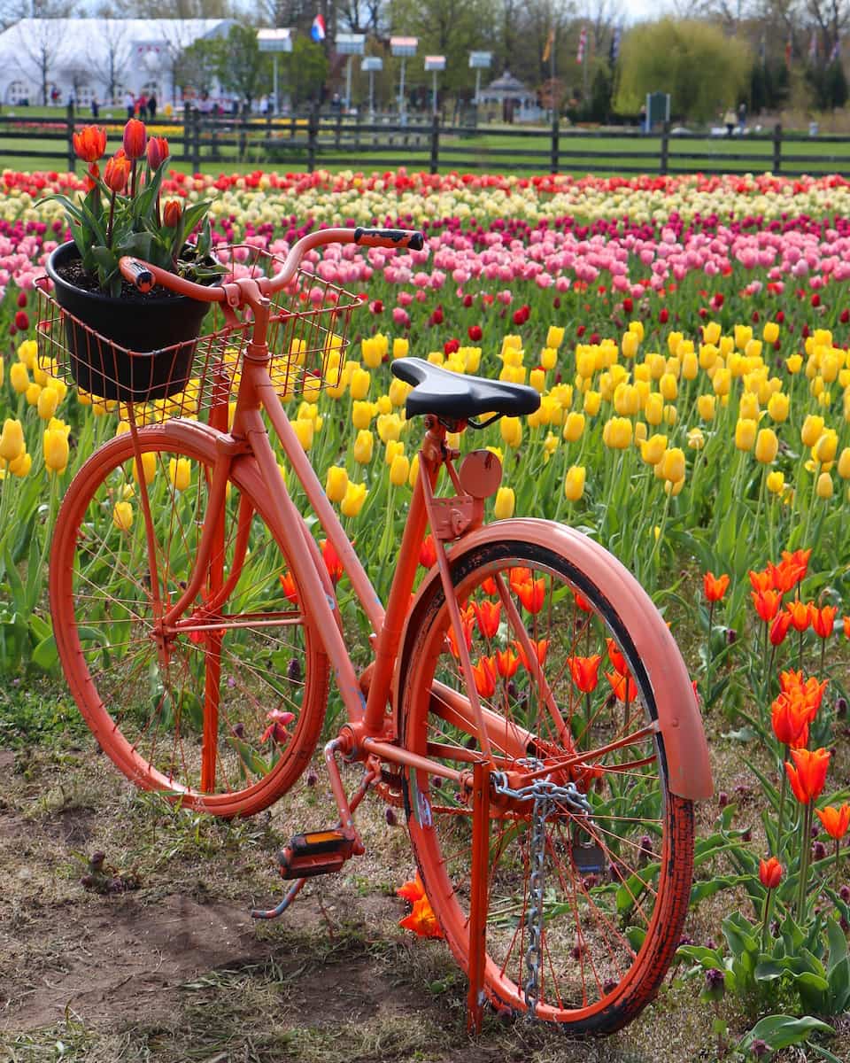 Spring Events, Michigan Spring Events, Michigan