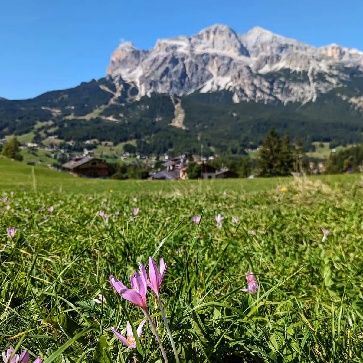Spring in Cortina dāAmpezzo Spring in Cortina dāAmpezzo