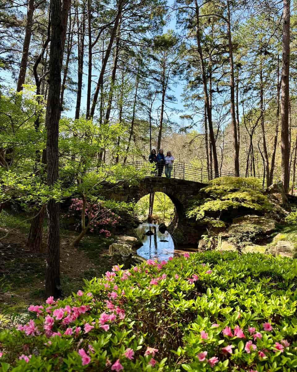 Spring in Hot Springs Spring in Hot Springs