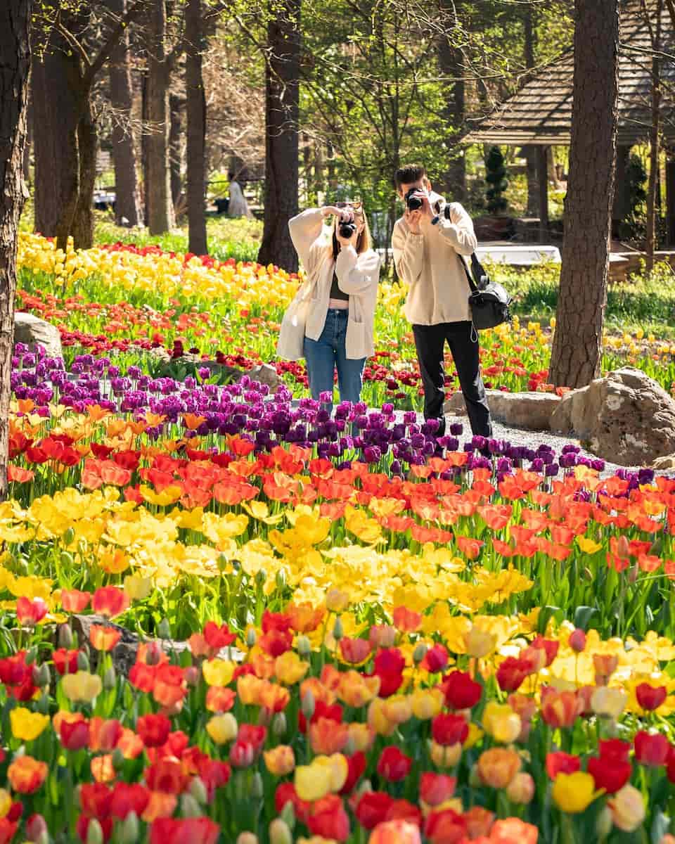 Spring in Hot Springs Spring in Hot Springs
