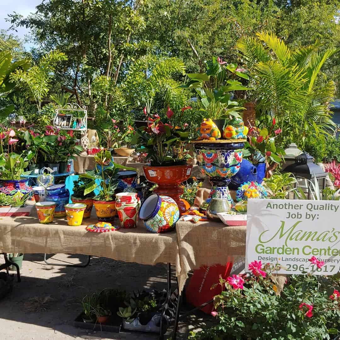 Spring in Key West Spring in Key West