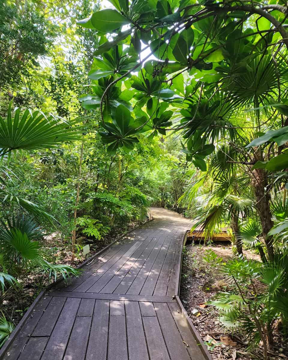 Spring in Key West Spring in Key West