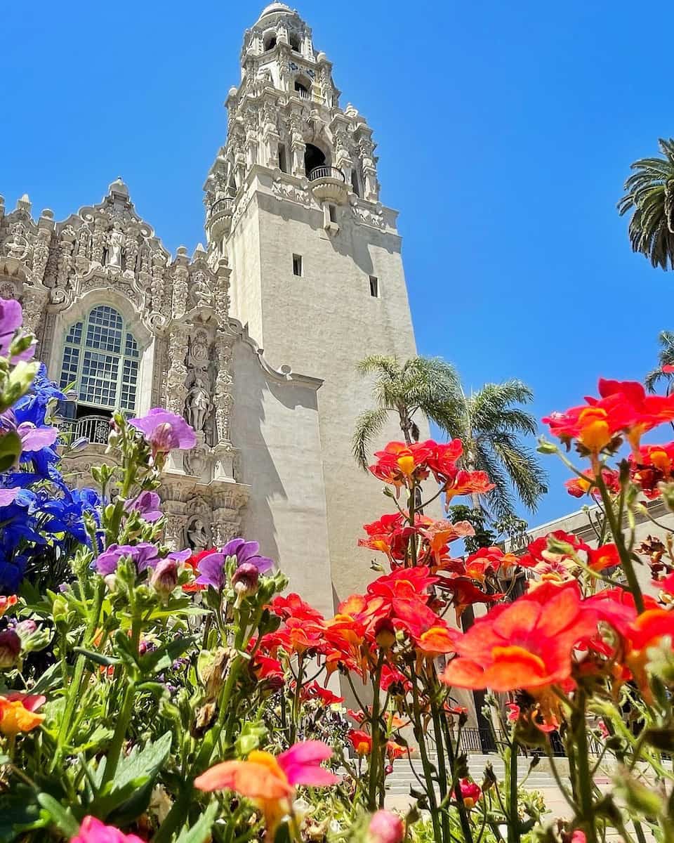 Spring in San Diego Spring in San Diego
